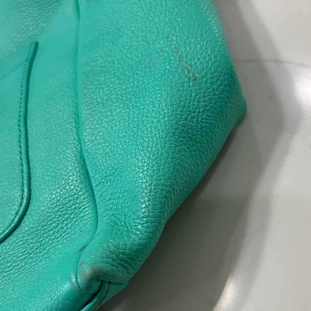 Dooney & Bourke Turquoise Leather Shoulder Bag with Gold Hardware - Picture 15 of 17